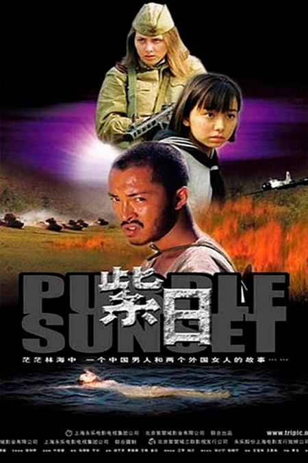 紫日海报